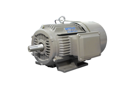 YEJ2系列電磁制動三相異步電動機